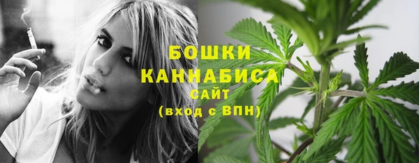 гашик Лагань